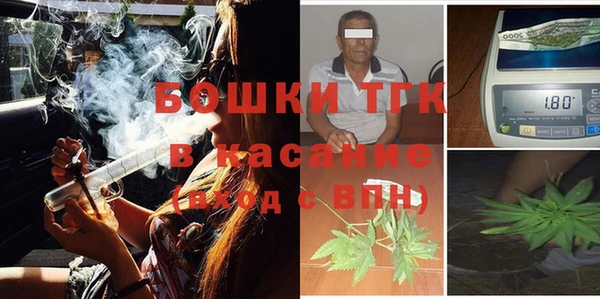 стафф Арсеньев