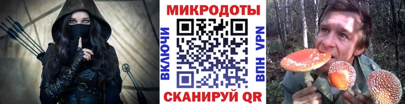 Псилоцибиновые грибы мицелий  Белозерск 